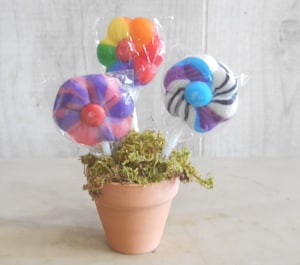 LOLLI POP GARDEN